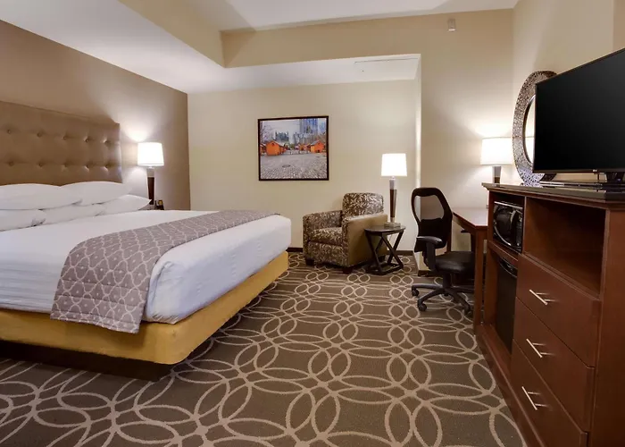 Hotel Drury Plaza Downtown