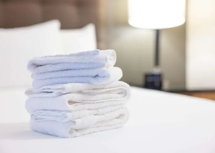 Drury Plaza Downtown Hotel 4*
